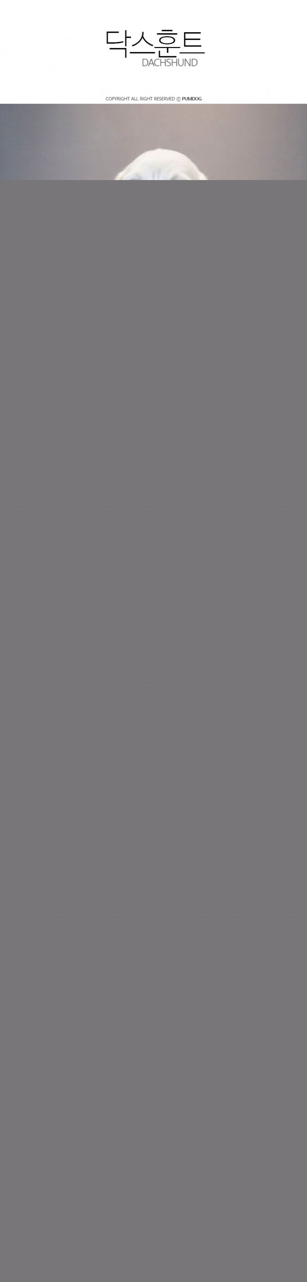 a8579855624b1e3c32df1f946043ab97_1619428662_1619.jpg